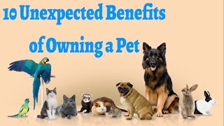 10 Psychological Benefits of Owning a Pet