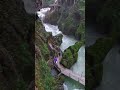 我上早八 MC药材_929