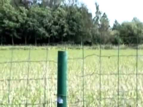 Exploding egg High speed (slow motion)