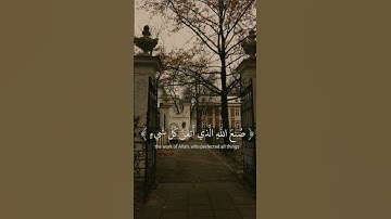 سورة النمل | القارئ : #عبدالرحمن_مسعد #quran #راحة_نفسية #viral #foryou #اجر_لي_ولكم🤎.