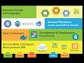Microservices, Integration and Service Mesh for Digital Business Transformation