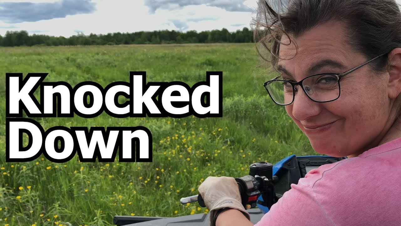 Knocked Down | A Big Family Homestead VLOG - YouTube