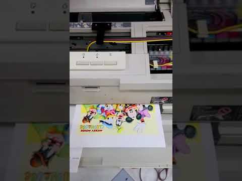Video Máy in Epson PX1004 mực dầu Pigment UV in test hình... - youtube