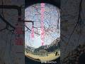 【 二見颯一】♪︎青空みたいな男です、