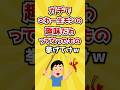 【2ch有益スレ】ガチで「これ一生モンの趣味だわ」ってなったもの挙げてけw