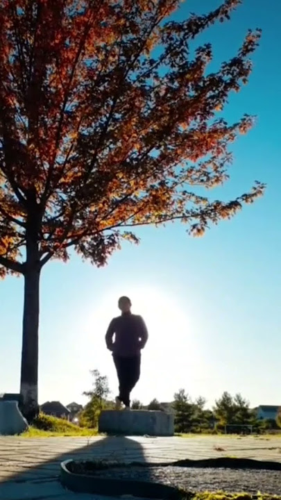 fields of gold #fieldsofgold #shortvideo #ukelele #moon #star #321
