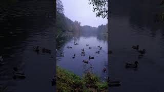 🔥 Горячее предложение! Техника и оборудование для работы и дома 🔥 #модныепоказы