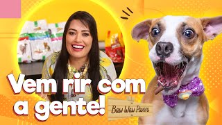 Os pets mais divertidos | Baw Waw Pavora @MilenePavoroOficial by Baw Waw Oficial 957 views 2 years ago 6 minutes, 22 seconds