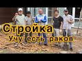 Строим,красим и правильно едим раков.