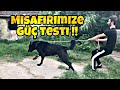 MUZAFFER KARATAŞ VS EJDER GÜÇ TESTİ !! - BOL SÜRÜKLENMELİ VİDEO !!