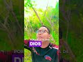 Amor y muchas gracias #bendiceme #greenscreen #los5minutosdelespiritusanto #bendiga