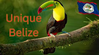 "Discover Belize: Unveiling the Hidden Caribbean Paradise"