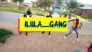 ILULA GANG DANCER