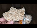 Tasting Cinnamon Toast Rice Cakes | Lundberg Family
