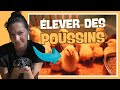 Ref:2HwTM93_zzE   comment �lever des poussins n�s en couveuse  