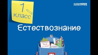 Естествознание. 1 класс. Зачем нужно определять время /26.02.2021/