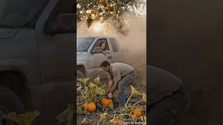 the parrot saved the pumpkin plant from drying out by watering it 😭 #ai #tree #save #water