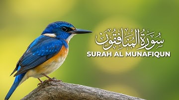 Surah Al-Munafiqun | سورة المنافقون | Soulful & Peaceful Quran Tilawat (Surah 63)