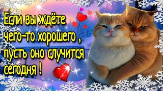 ☕🍰Наидобрейшего зимнего  утра!❄💗Красивая музыкальная открытка🌞