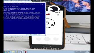 Windows BSOD VM #246