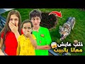غرفةماما تحولت لكابوس بسبب الذئب شعبان عضو الذئب وفاء وعبير وشامو أصعب ليلة بتعدي علينا 