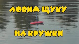 Ловим щуку на кружки