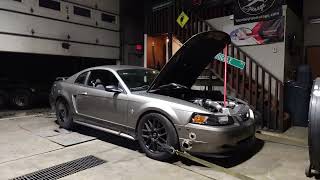 Mustang on the roller with tkx / 67's amd 8200 rpm