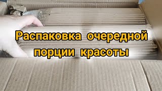 :     .  