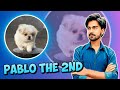 Best Earning Website || Full & Part Time Earning || Earning 50 USDT/Day
