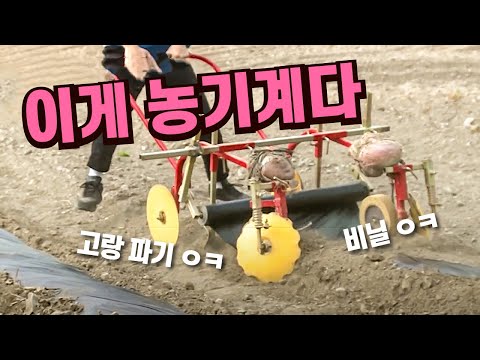 고랑도 파고 비닐도 씌워주는 농기계 [핫클립] / YTN 사이언스