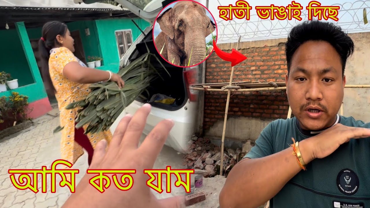 হাতী আহি ভাঙাই দিছে । আমি কত যাম @kdrabhavlogs5597 