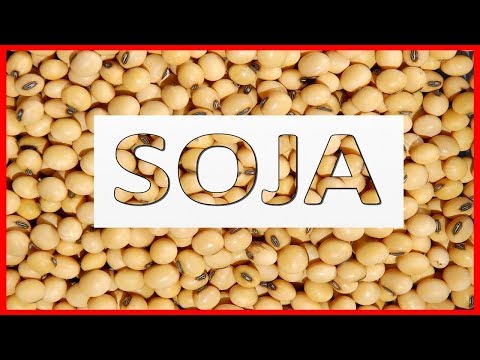 Vídeo: Qual é A Aparência Da Soja?