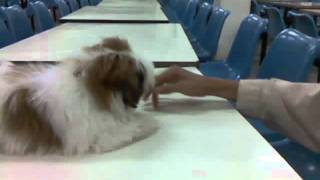 Capture 20120203 2