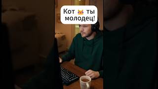 Наш кот самый умный и счастливый. #ии