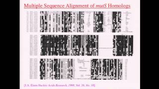 HGP10 Symposium: Fruits of the Genome Sequences for Society - David Botstein