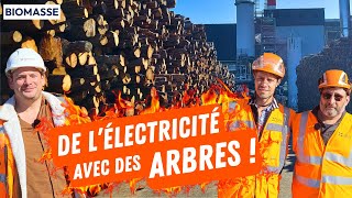Cette centrale électrique brûle 465 TONNES DE BOIS chaque jour