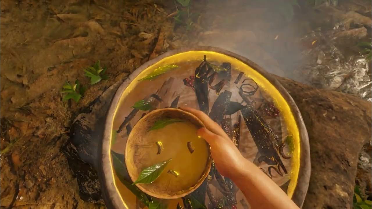 Green Hell mode histoire partie 5 Lambda 2, rituel et camp anaconda