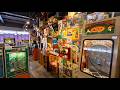 Visiting Japan’s Unique Vending Machines and Vintage Analog Arcade Games🎰 🍔 🍜