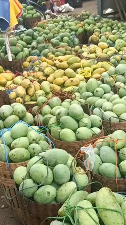 The center of mangoes is in Pasrepan, Pasuruan Regency, East Java #shorts #cakmidcakmid