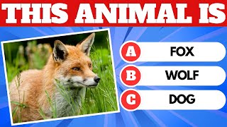 Can You Guess the Animal by Picture?