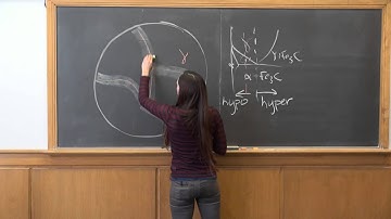 Example Problem - Megan - sketch hypoeutectoid steel