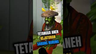 TETANGGA ANEH KEJATUHAN SARANG BURUNG 🤣