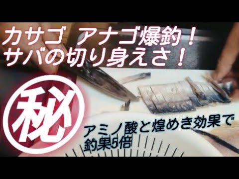 魚釣りの切り身えさ 俺のえさはこう作る 塩サバ釣り餌 Youtube