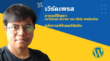 วิธีการแก้ปัญหา critical error on this website ของ Wordpress