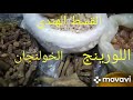 لمرضى الفشل الكلوي وصفة طبيعية من العطار وصفة الكركمين علاج فعال لعلاج الفشل الكلوي بإذن الله