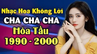 Nhạc Hoa Không Lời Cha Cha Cha Thập niên 90 - Giai điệu làm mưa làm gió thị trường đĩa CD 8x 9x