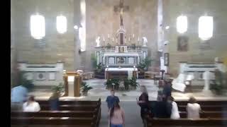Sunday Mass   6/7/2026