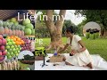 Life In My 30s Living Alone In Abuja Nigeria Lifeinnigeria Life In My 30s Living Alone In Abuja Nigeria Lifeinnigeria