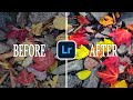 This will FOREVER CHANGE how you DEVELOP COLOR in Your Landscape Photos!