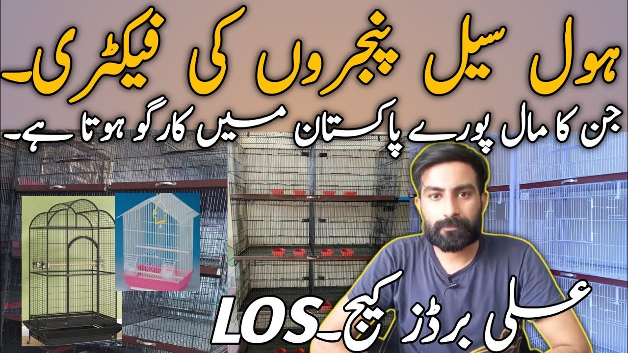 Cages In Lahore at Tina Martin blog